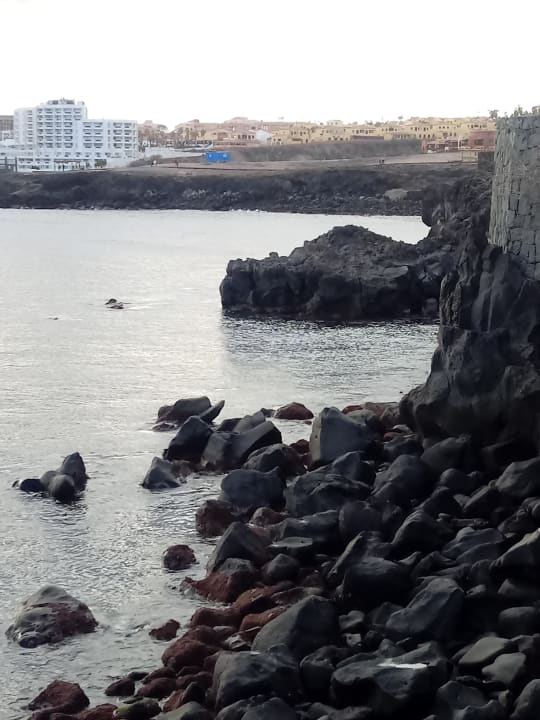 Strand Bahia Principe Fantasia Tenerife