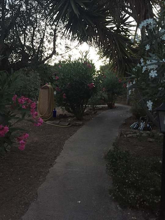 Gartenanlage Finca Oase Can Negre