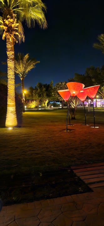 Gartenanlage Desert Rose