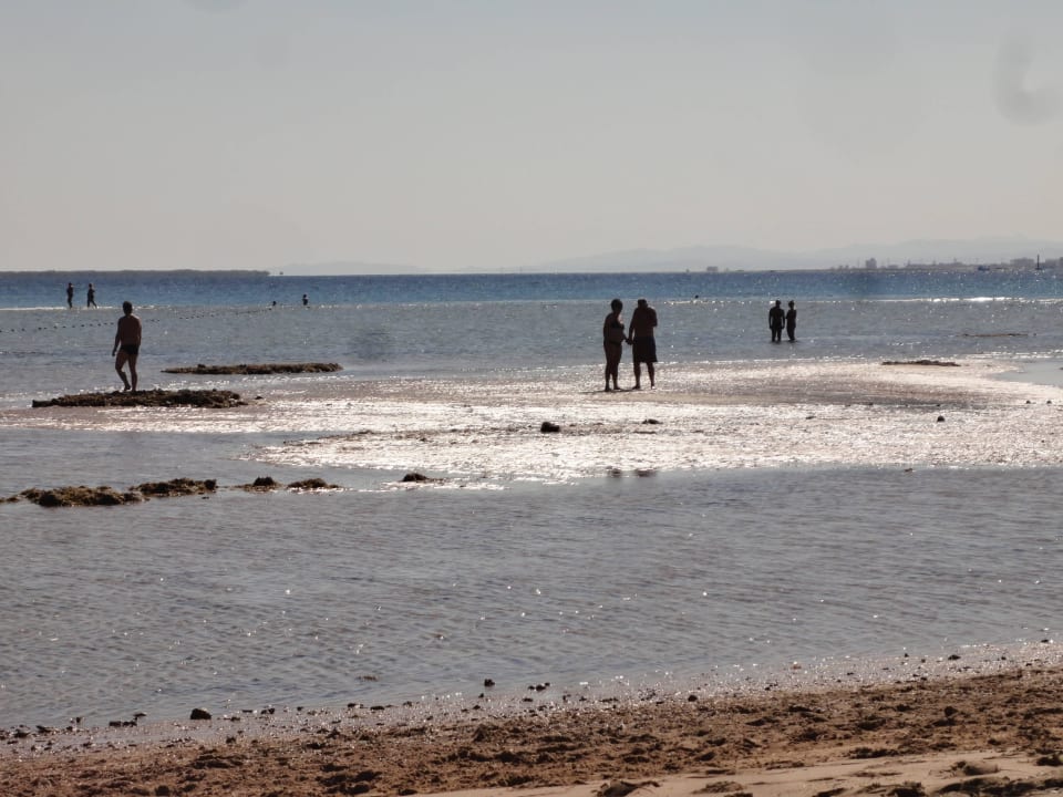 Strand Shams Prestige Abu Soma-Adults Only