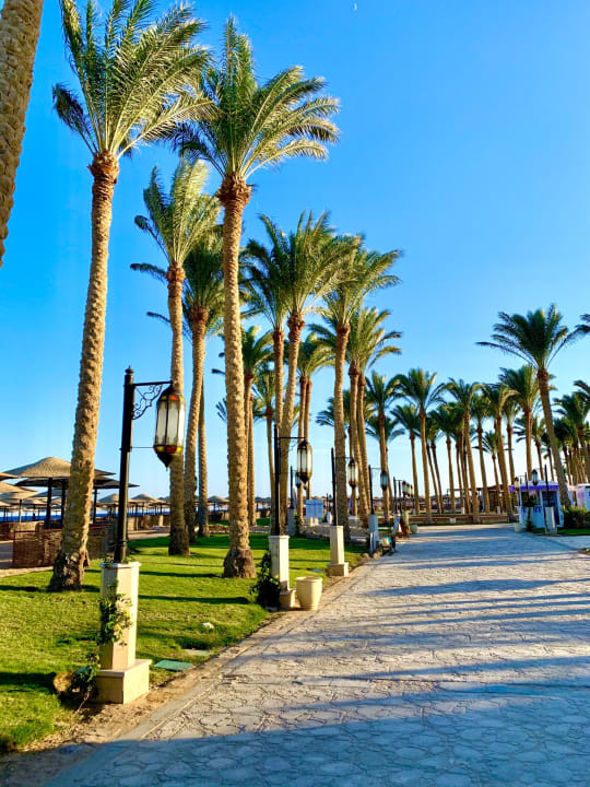 Garten Makadi Palace