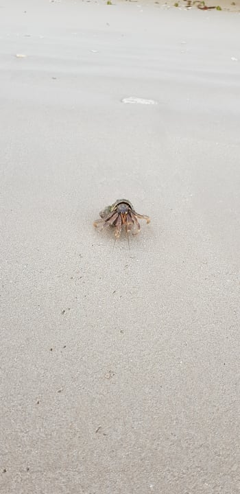 Strand Kantary Beach Hotel - KHAO LAK