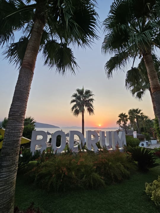 Gartenanlage TUI MAGIC LIFE Bodrum - Adult Only (16+)