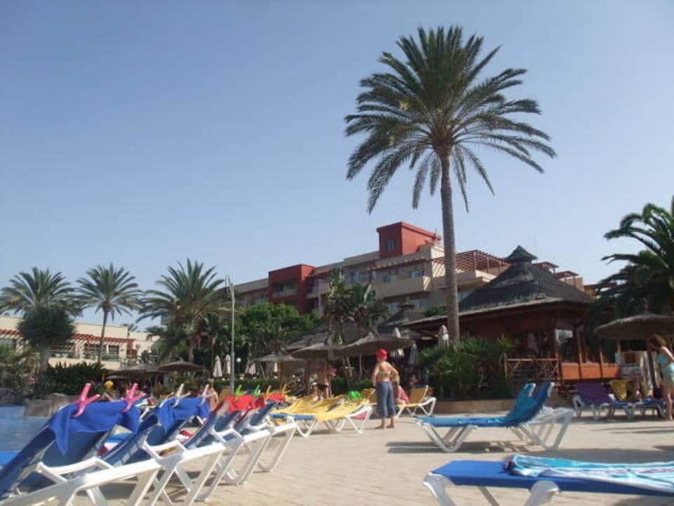 Liegen am Pool Elba Carlota Beach & Golf Resort