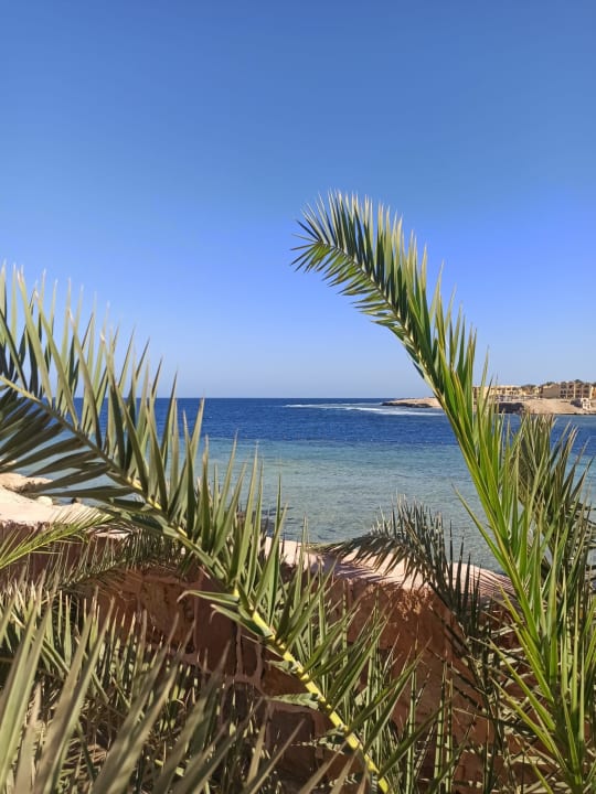 Ausblick Steigenberger Coraya Beach - Adults only