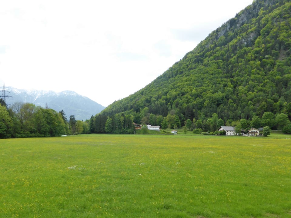 Ausblick Dopplerhof's Staufenhaus