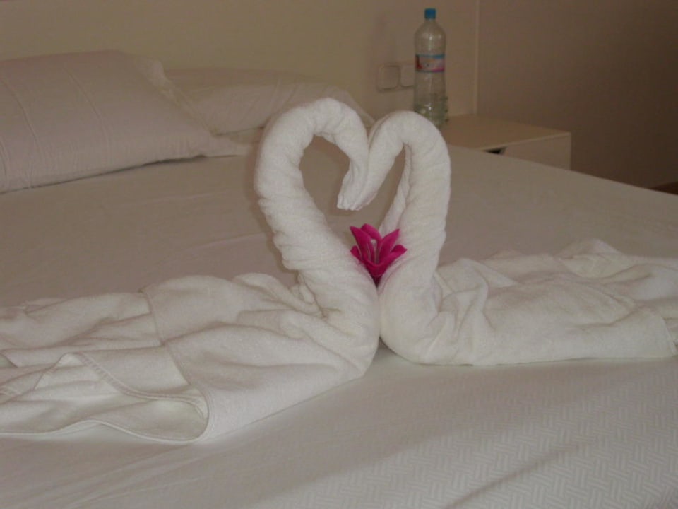 Schwäne aus Frottiertüchern Iberostar Selection Fuerteventura Palace