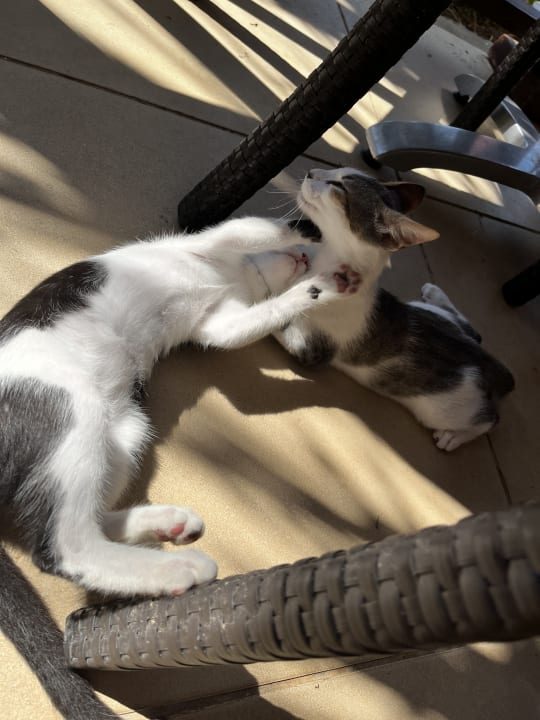 Sonstiges TUI MAGIC LIFE Penelope Beach