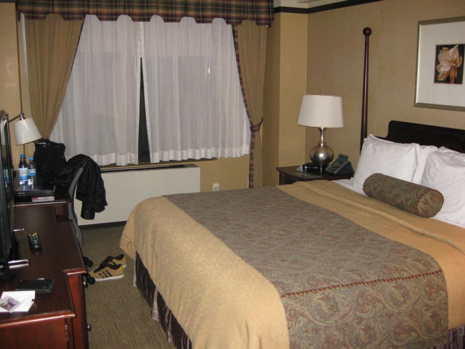 Zimmer (King Executive) Hotel Belvedere