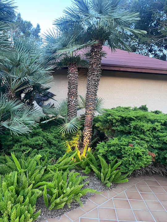 Gartenanlage Hotel Zafiro Alzinar Mar