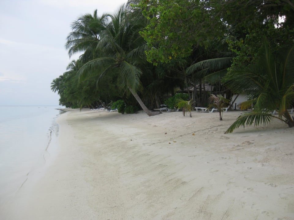 Unser Strand vor dem Bungalow Vilamendhoo Island Resort & Spa