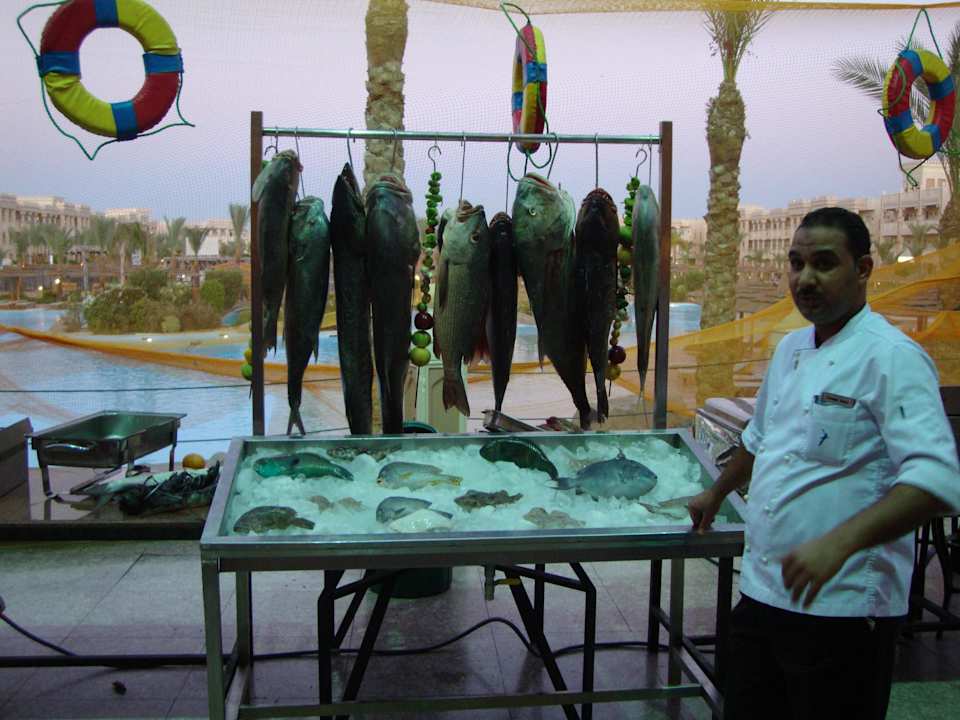 Abends am Buffet Pickalbatros Palace Resort