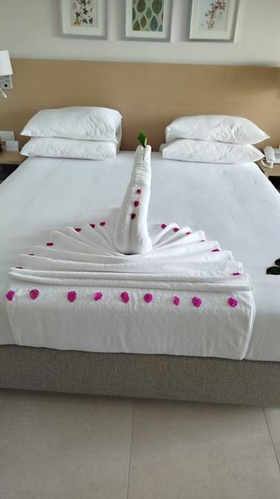 Zimmer JAZ Elite Asteria