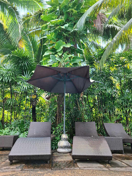 Pool Laluna Hotel & Resort