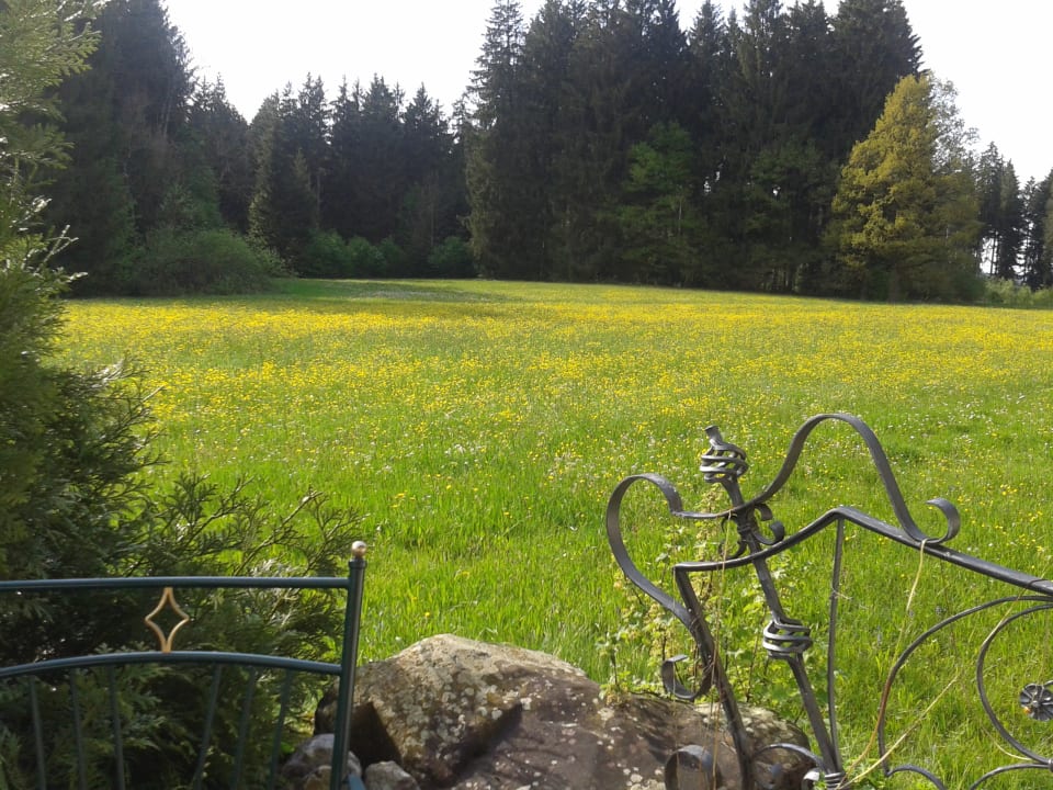 Ausblick Landhotel zur Grenze