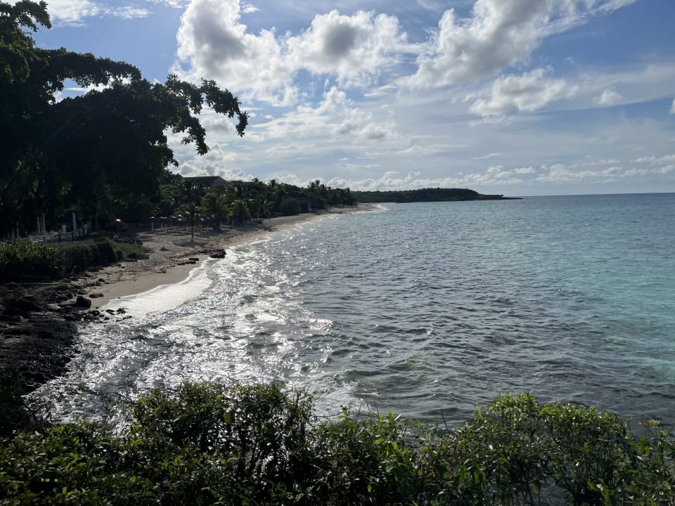 Strand Paradisus Rio de Oro Resort & Spa - Adults only