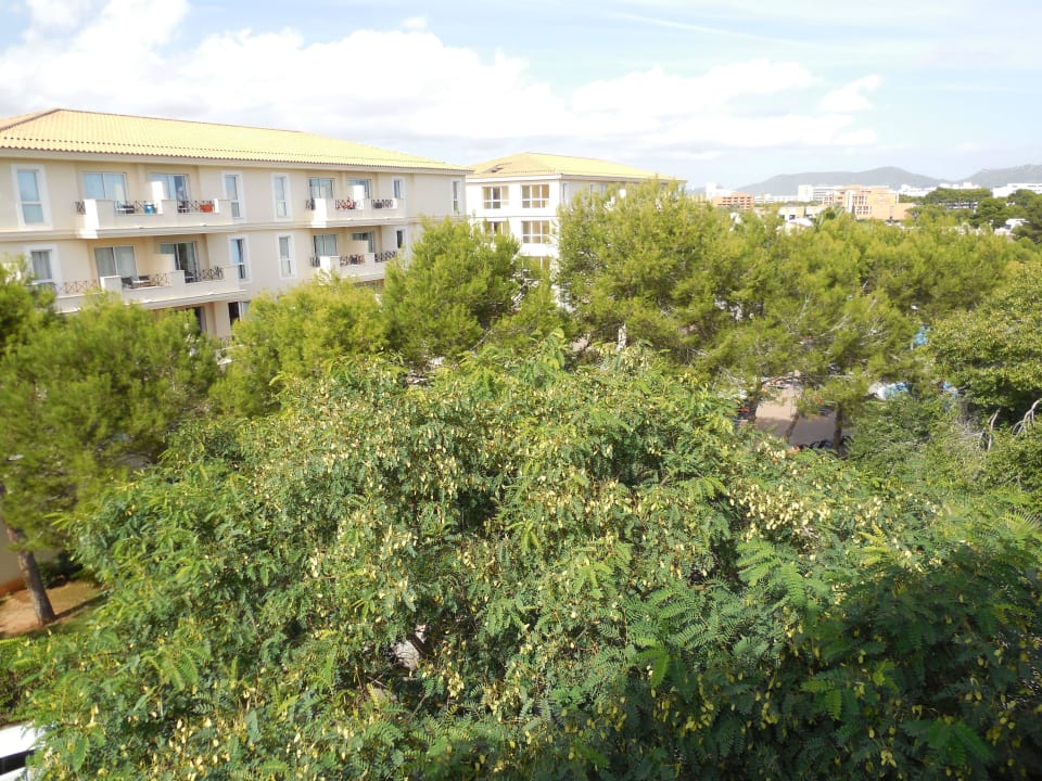 Blick auf das Hotel Mar Blau Hotel Rosella by Intelier