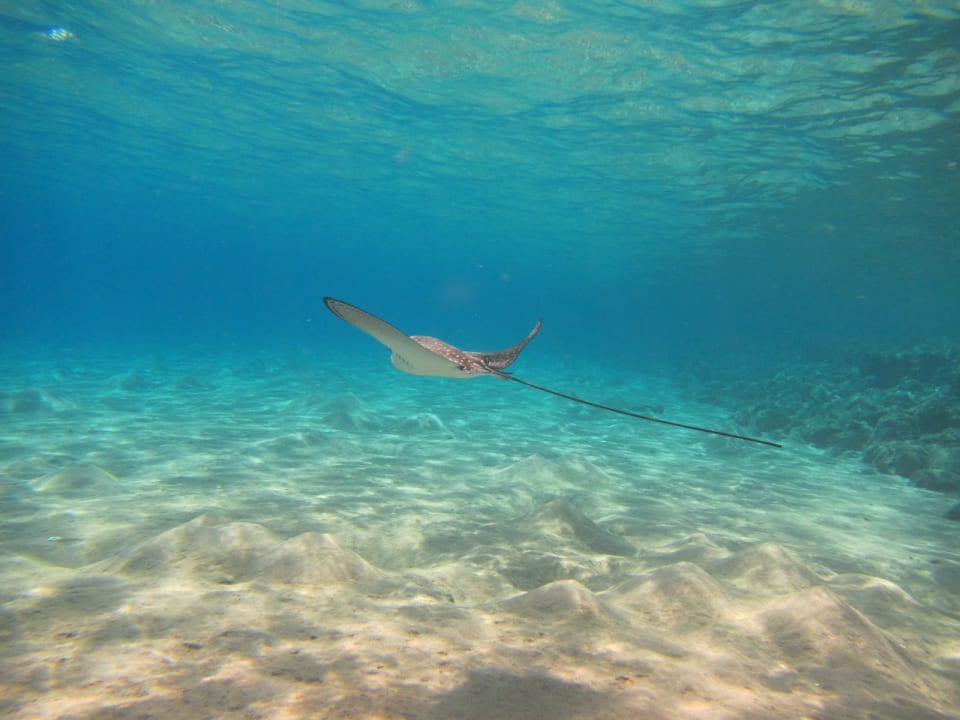 Sport & Freizeit Lido Sharm Hotel