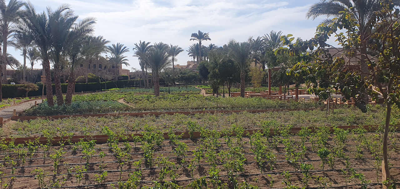 Gartenanlage Mövenpick Resort El Quseir