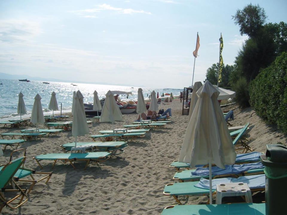 Blick auf den Hotelstrand Domes Noruz Kassandra | Adults-Only