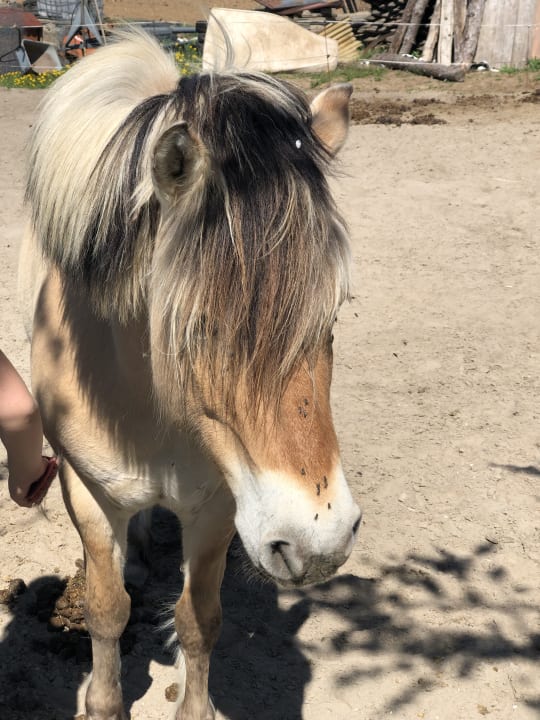 Sport & Freizeit Ferienhof Dingeldey