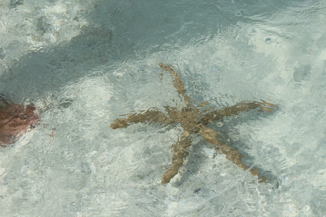 Strand Embudu Village