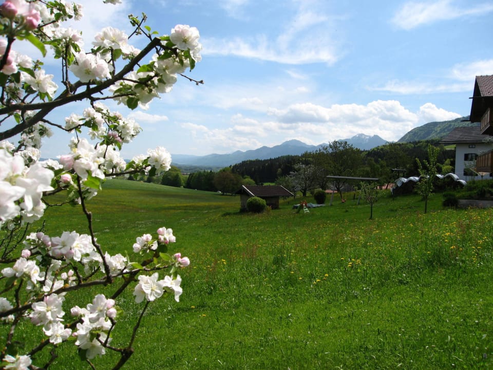 Frühlingsstimmung Thaurerhof