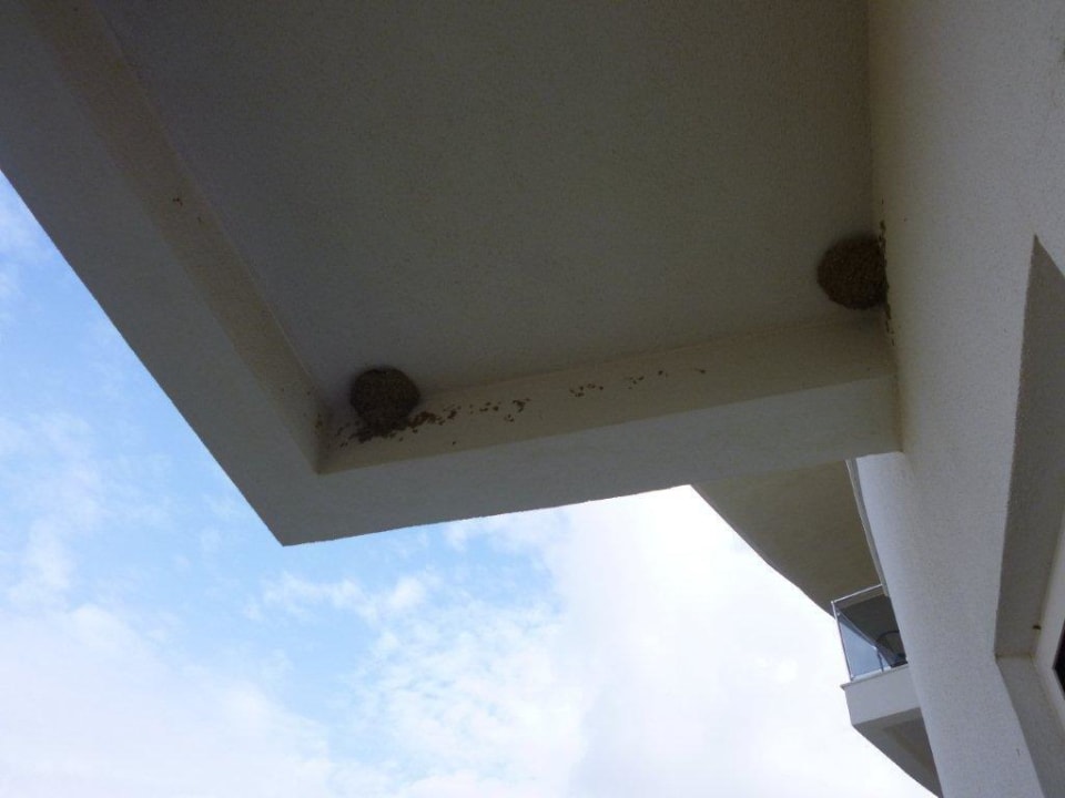 Schwalbennester Seaden Sea World Resort & Spa