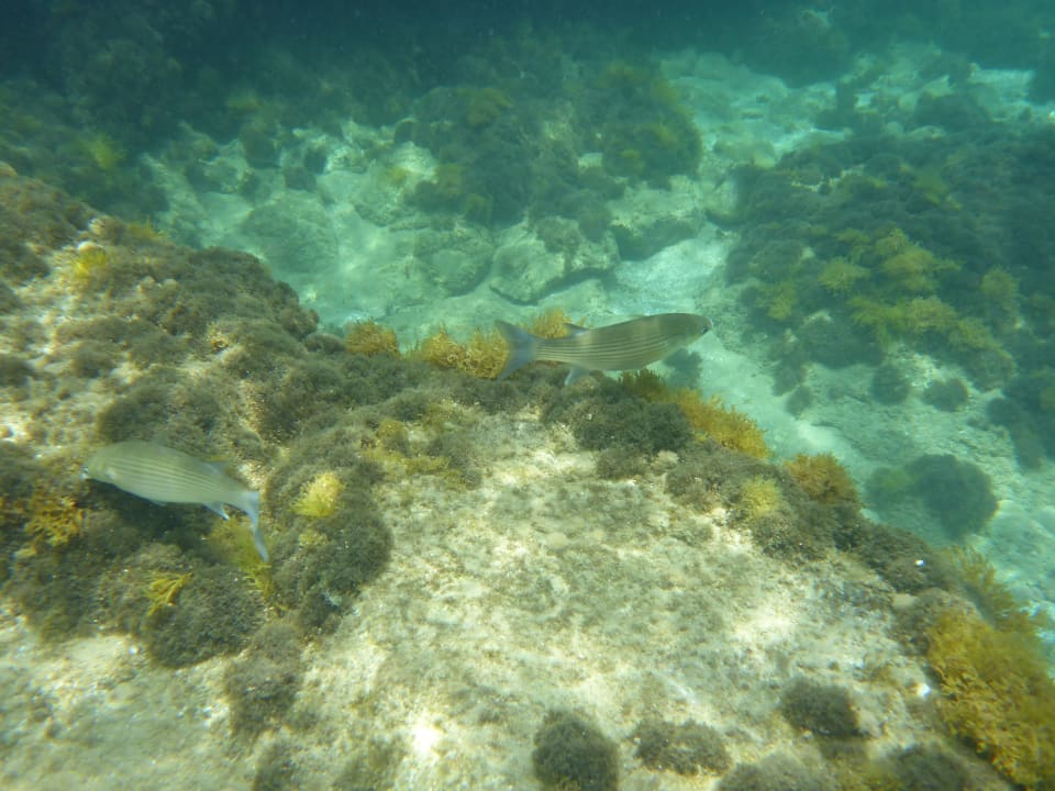 Sport & Freiziet Creta Maris Resort