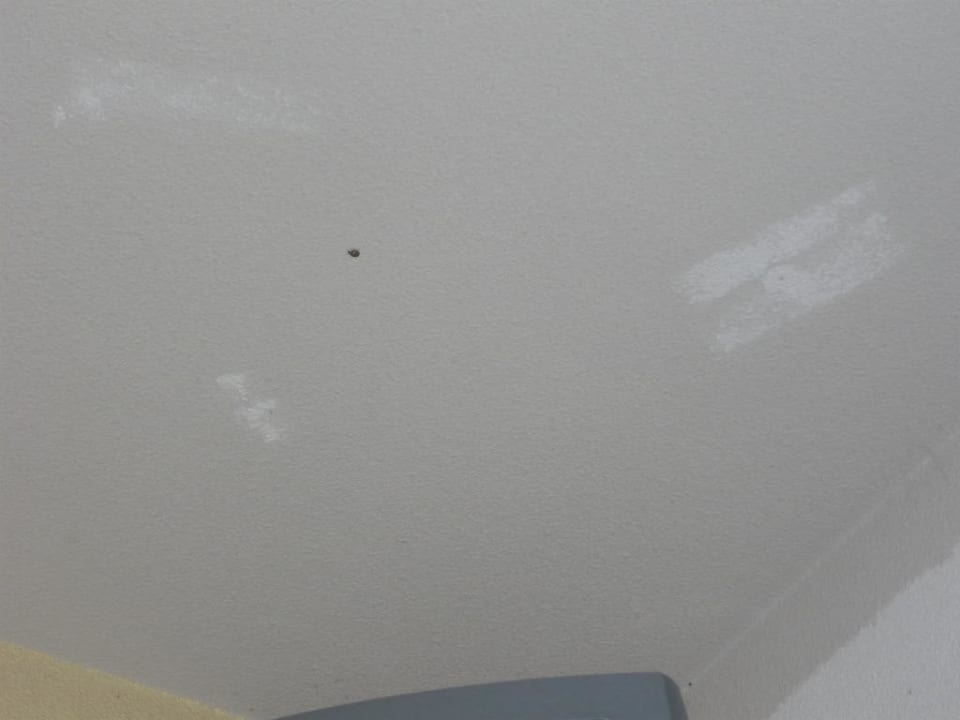 La peinture et les bestioles B&B Hôtel Marne-la-Vallée