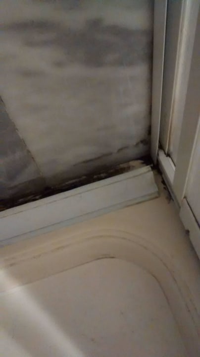 Schwarzschimmel in der Dusche Hotel Andiz Beach