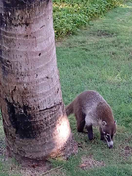 Sonstiges Bahia Principe Grand Tulum