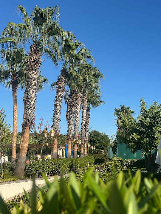 Gartenanlage Diamond Excellence Resort & Spa