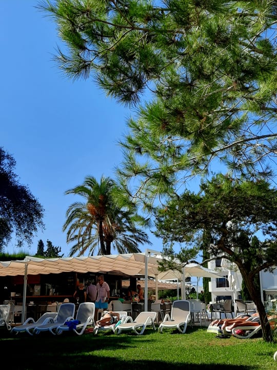 Gastro Inturotel Azul Garden