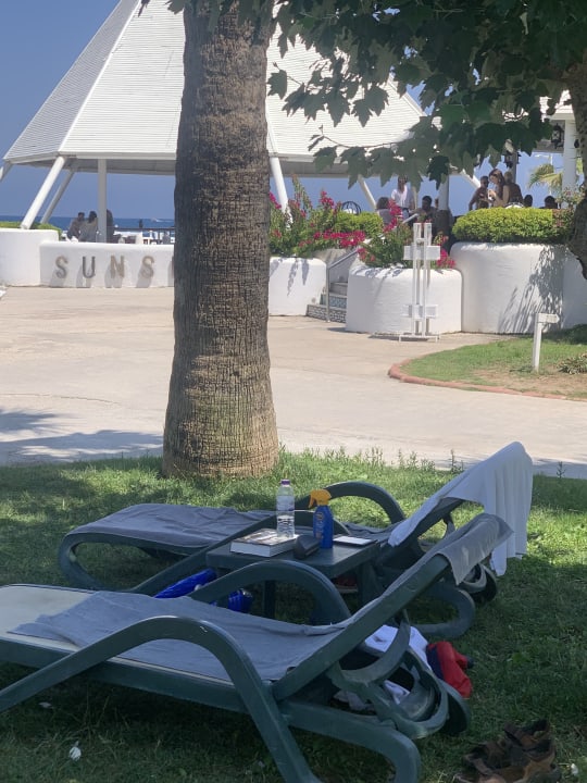 Gastro Balmy Foresta