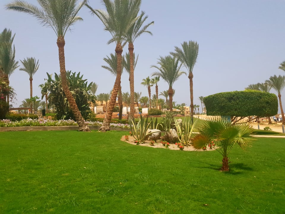 Gartenanlage Steigenberger Coraya Beach - Adults only