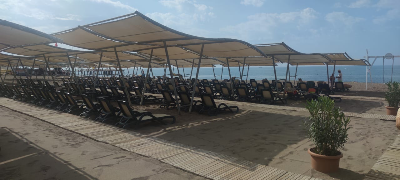 Strand Sherwood Exclusive Lara