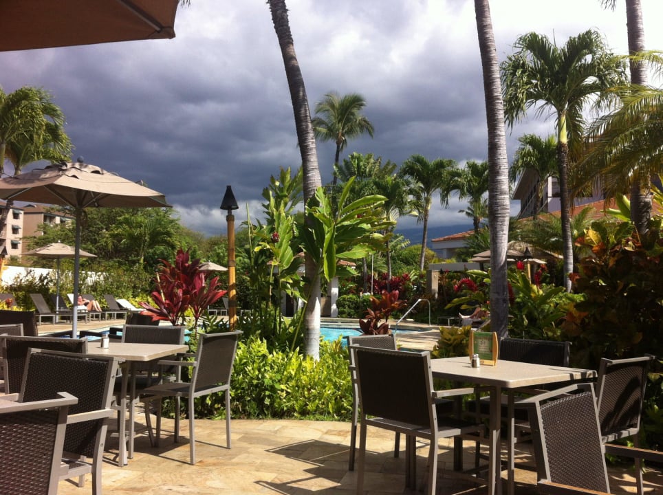 Pool & Bar Maui Coast Hotel