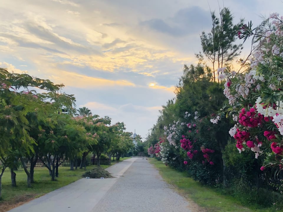 Gartenanlage Aydinbey Kings Palace & Spa