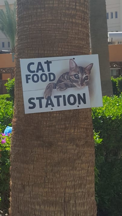 Sport & Freizeit Giftun Azur Resort