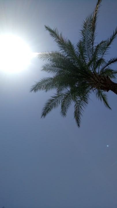 Ausblick Hotel Titanic Palace