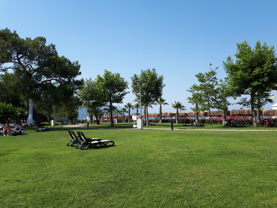 Gartenanlage Balmy Foresta