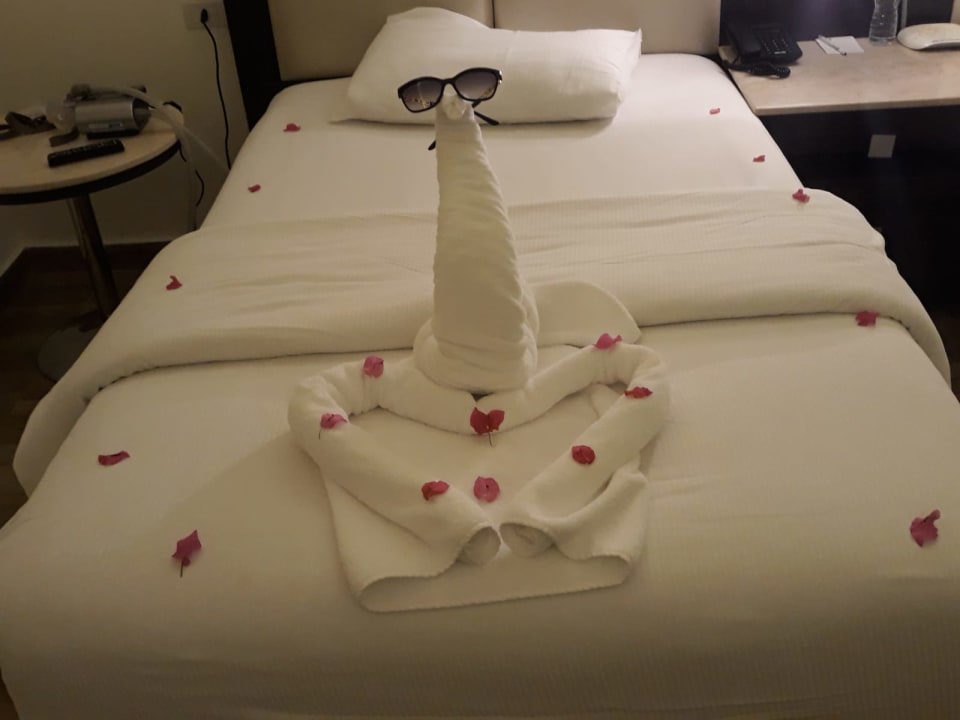 Gastro Pickalbatros White Beach Resort - Hurghada