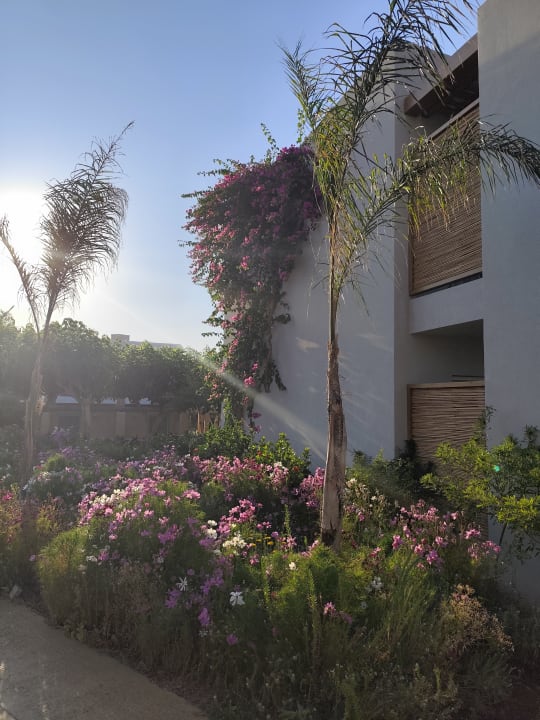 Gartenanlage Anissa Beach & Village