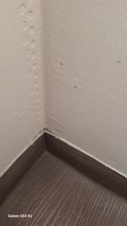 Zimmer Hotel Bayside