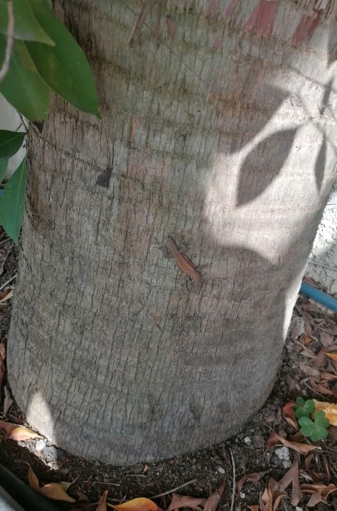 Gartenanlage Hane Family Resort