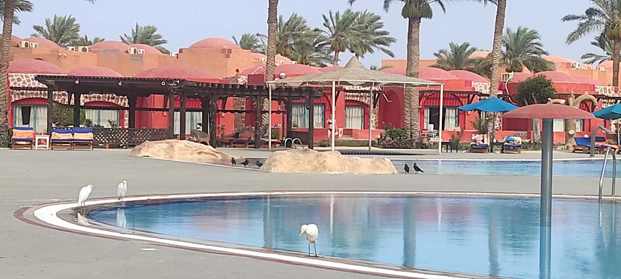 Pool Swisstouch Oriental Resort Marsa Alam