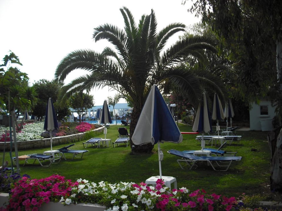 Poolgarten Corissia Beach Hotel