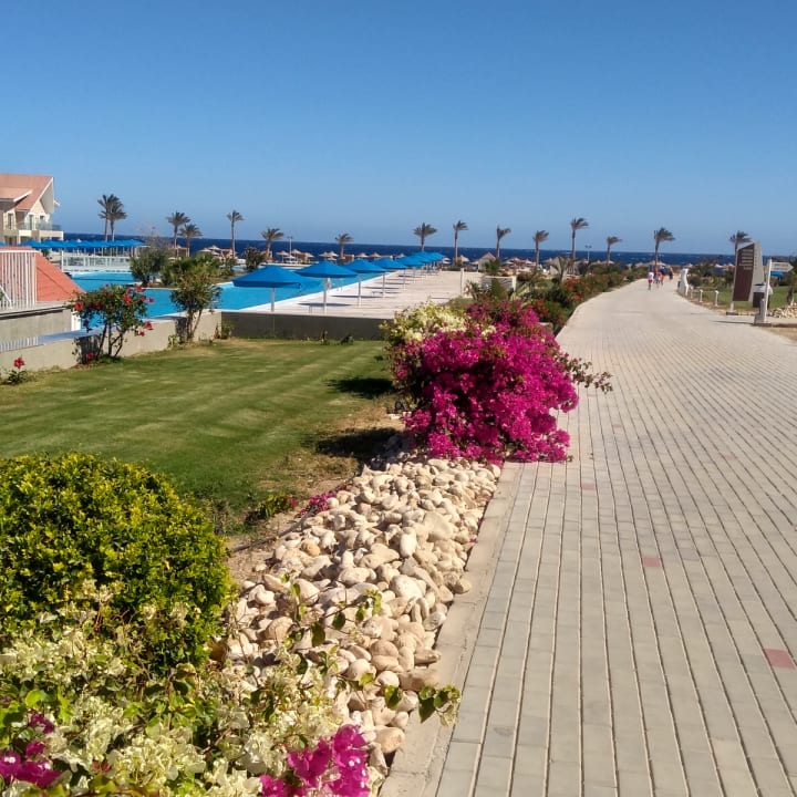 Gartenanlage Pickalbatros Sea World Resort - Marsa Alam