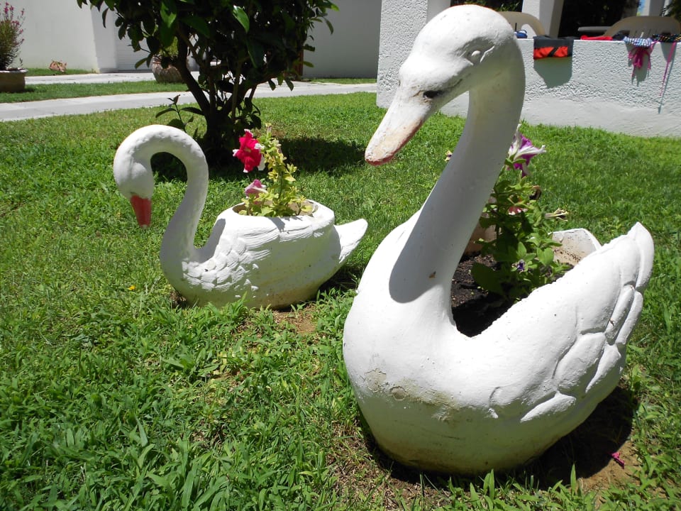 Quer durch die Hotelanlage Hotel Gaia Village